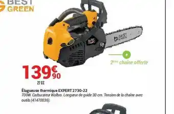 Bricorama élagueuse Thermique Expert 2730-22 Best Green offre