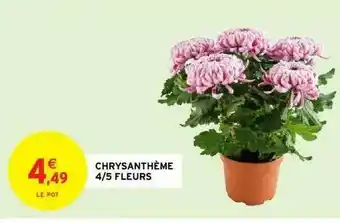 Intermarché Chrysanthème 4-5 Fleurs offre