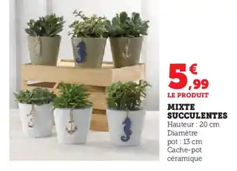 Super U MIXTE SUCCULENTES offre