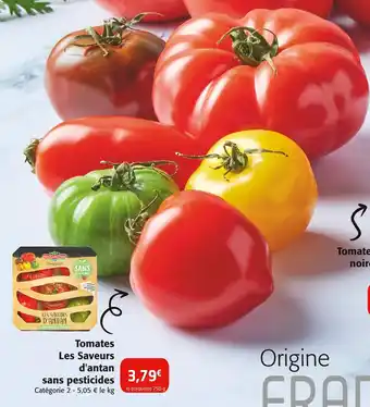 PRINCE de BRETAGNE Tomates Les Saveurs d'antan sans pesticides