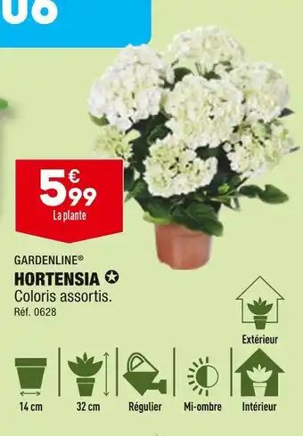 ALDI GARDENLINE HORTENSIA offre