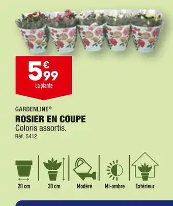 ALDI GARDENLINE ROSIER EN COUPE offre
