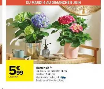 Carrefour Hortensia offre