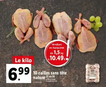 Lidl 10 Cailles sans tête nature offre
