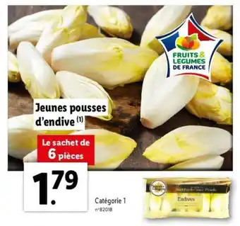 Lidl Jeunes pousses d'endive offre