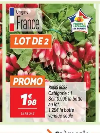 Netto RADIS ROSE offre