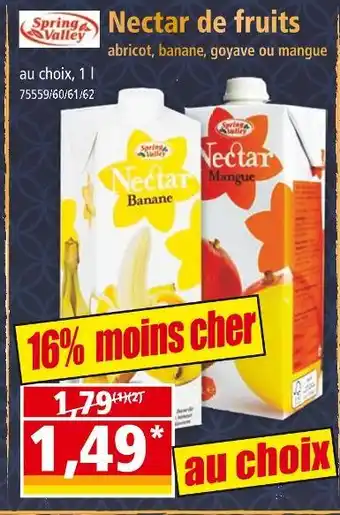 Norma Spring Valley Nectar de fruits offre