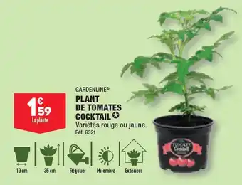 ALDI GARDENLINE® PLANT DE TOMATES COCKTAIL offre
