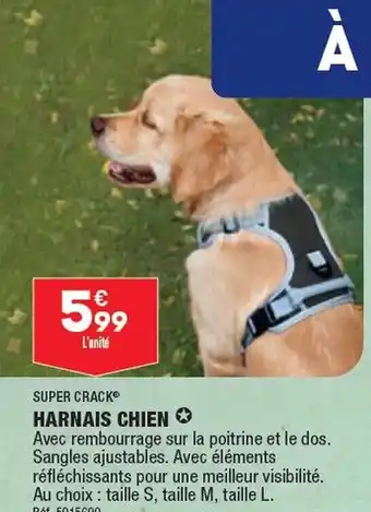 ALDI HARNAIS CHIEN ✪ offre