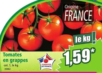 Norma Tomates en grappes offre