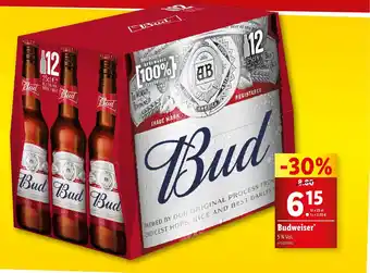 Lidl Budweiser offre