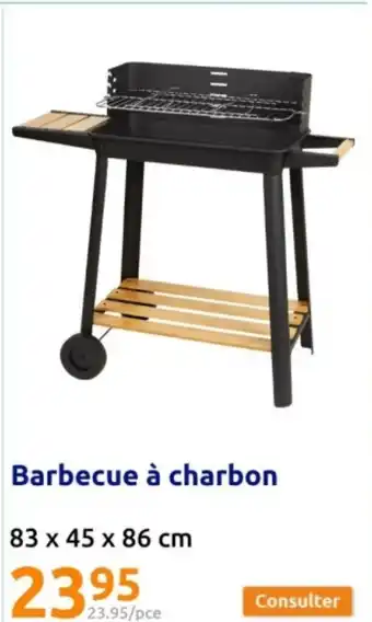 Action Barbecue à charbon offre