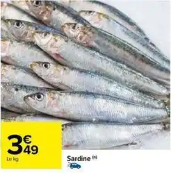 Carrefour Sardine offre
