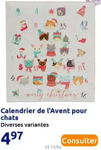 Action Calendrier de l'avent pour chats offre