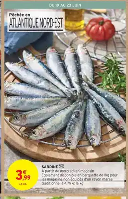 Intermarché SARDINE offre