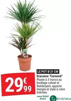 Carrefour Drive Carrefour - couches premium ultra protect offre