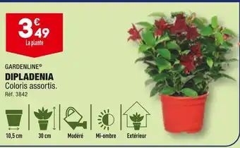 ALDI GARDENLINE DIPLADENIA offre