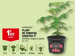 ALDI GARDENLINE PLANT DE TOMATES COCKTAIL offre