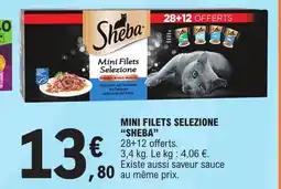E.Leclerc MINI FILETS SELEZIONE "SHEBA" offre