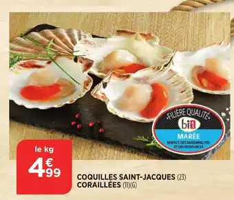 Bi1 Coquilles saint-jacques coraillées offre
