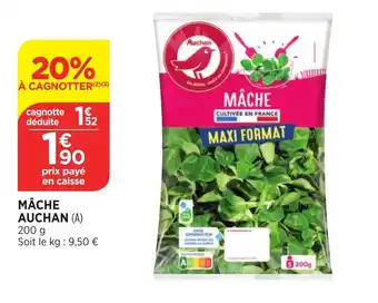 Bi1 Mâche auchan offre