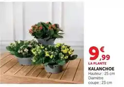 Carrefour Drive Saint agur - offre gourmande offre