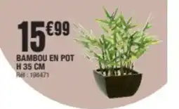 La Foir'Fouille BAMBOU EN POT offre