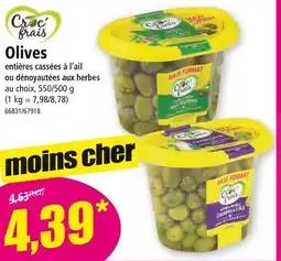 Norma CROC'FRAIS Olives offre