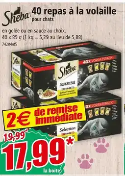 Norma SHEBA 40 repas à la volaille offre