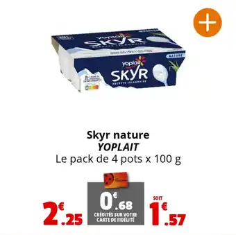 Coccinelle Supermarché Skyr nature YOPLAIT offre