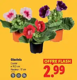 Bi1 Petit navire - thon au naturel offre