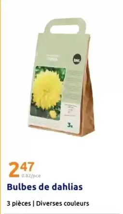 Carrefour Fujifilm - appareil photo instantanée offre