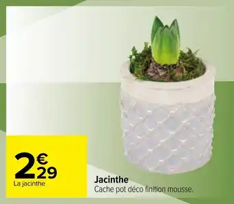 Carrefour Jacinthe offre