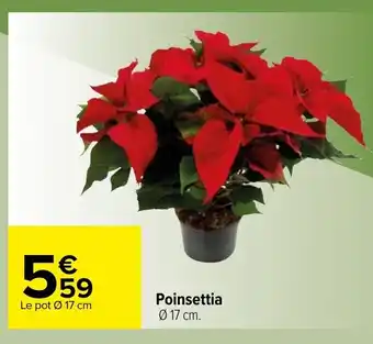 Carrefour Poinsettia offre