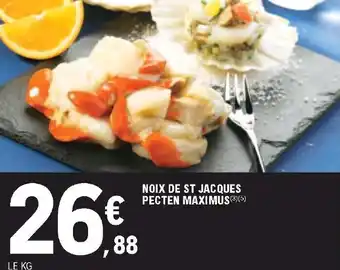 Noix de st jacques pecten maximus