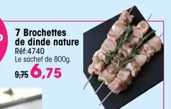 Croque Gel 7 Brochettes de dinde nature offre