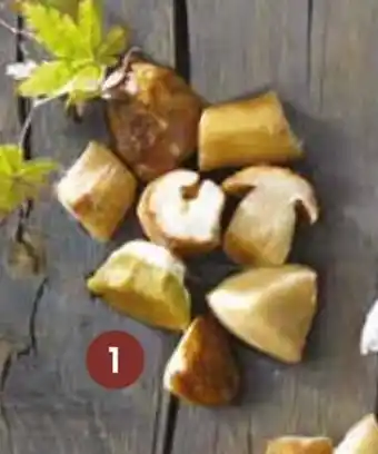 CĂšpes et bolets en morceaux