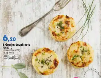 Croque Gel 6 Gratins dauphinois offre