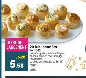 Croque Gel 20 Mini Bouchées offre