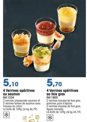 Croque Gel 4 Verrines Opéritives Au Saumon offre