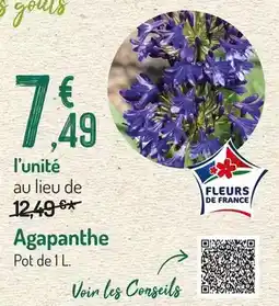 Auchan Supermarché Andros - compote pommes offre