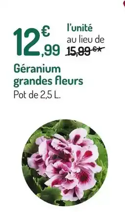 Auchan Supermarché Doritos - x nacho cheese offre