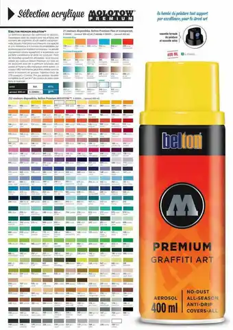 Le Géant des Beaux-Arts Premium Graffiti Art Belton offre