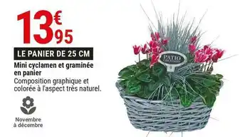Gamm vert Mini cyclamen et graminée en panier offre