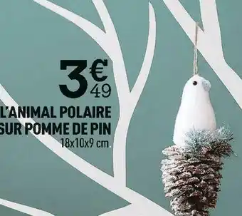 Centrakor L’animal polaire sur pomme de pin offre
