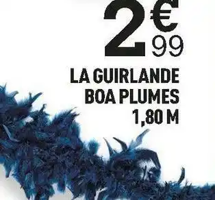 Centrakor La guirlande boa plumes offre