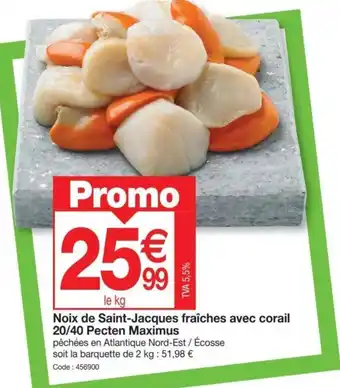 Promocash Noix de Saint-Jacques fraîches avec corail 20/40 Pecten Maximus offre