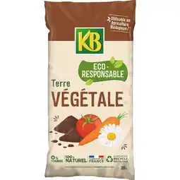 Auchan Terre Végétale Éco-Responsable 35 L offre