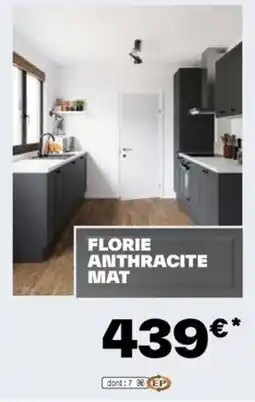Brico Dépôt FLORIE ANTHRACITE MAT offre