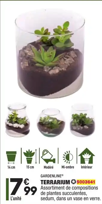 ALDI Terrarium offre